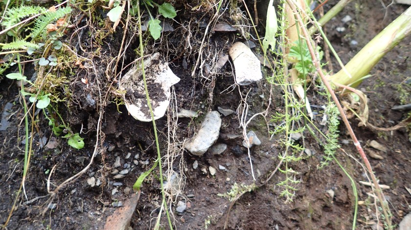 bone-shell midden 3SB