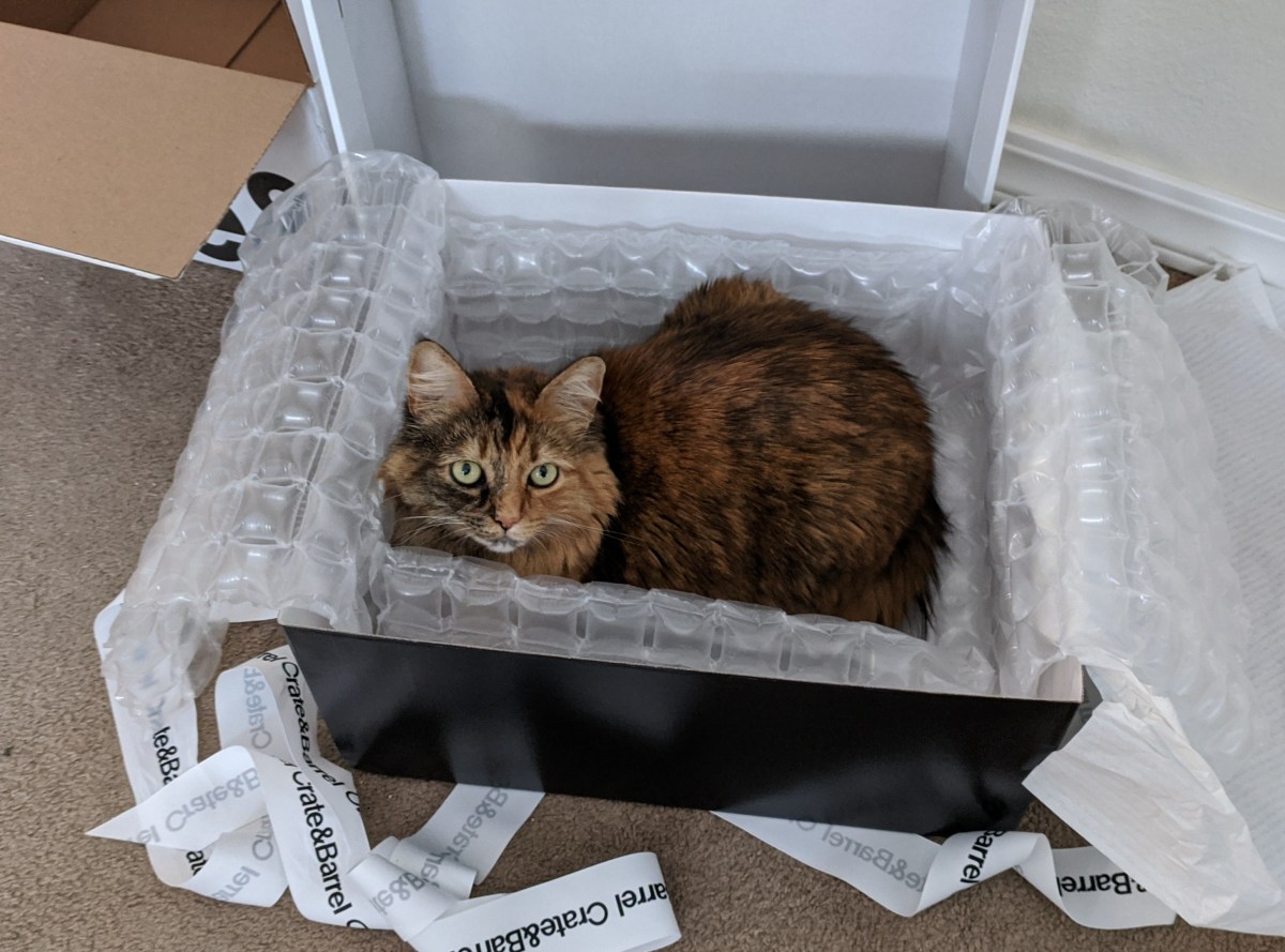 My Grad Student Life in COVID Times: Disciplinary Change is&nbsp;Coming?